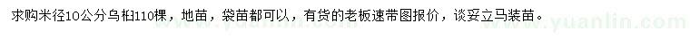 求購米徑10公分烏桕