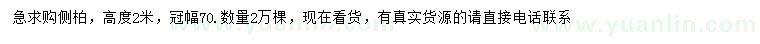 求購高2米側柏