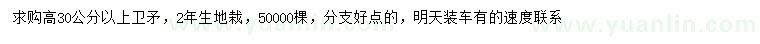 求購(gòu)高30公分以上衛(wèi)矛