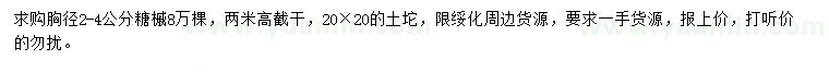 求購(gòu)胸徑2-4公分糖槭