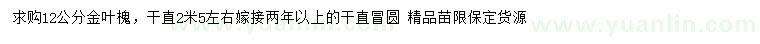 求購(gòu)12公分金葉槐