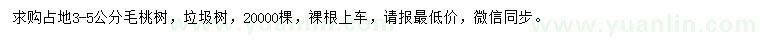 求購3-5公分毛桃樹