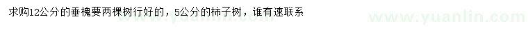 求購12公分垂槐、5公分柿子樹