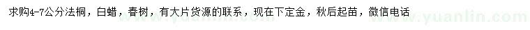 求購法桐、白蠟、椿樹