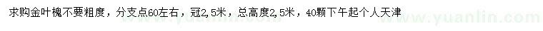 求購(gòu)冠幅2.5米金葉槐