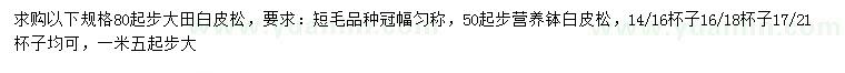 求購80公分起步大田白皮松
