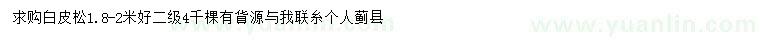求購1.8-2米白皮松