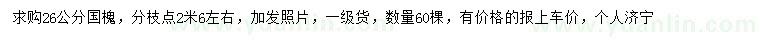 求購26公分國槐