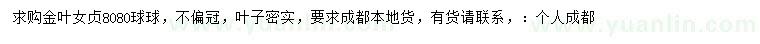 求購80公分金葉女貞球