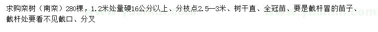 求購1.2米處量硬16公分以上欒樹（南欒）