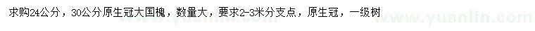 求購24、30公分國槐