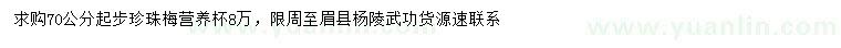求購70公分起步珍珠梅