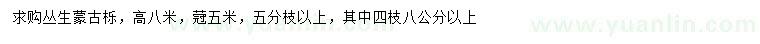 求購高8米叢生蒙古櫟