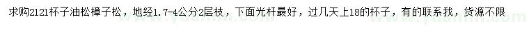 求購地徑1.7-4公分油松、樟子松