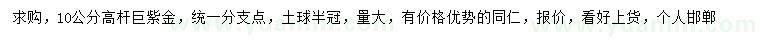 求購10公分高桿巨紫荊