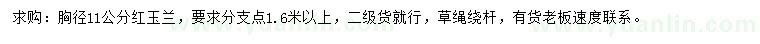求購胸徑11公分紅玉蘭