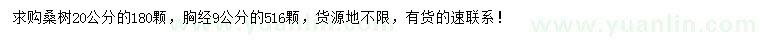 求購9、20公分桑樹