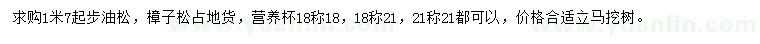 求購1.7米起步油松、樟子松