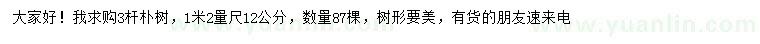 求購1.2米量12公分樸樹