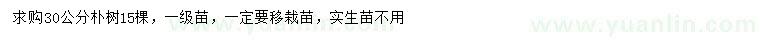 求購30公分樸樹