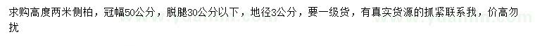 求購高2米側(cè)柏