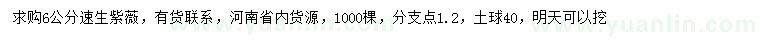 求購6公分速生紫薇