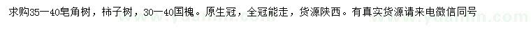 求購(gòu)皂角、柿子樹(shù)、國(guó)槐