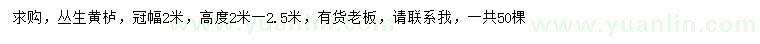 求購冠幅2米叢生黃櫨