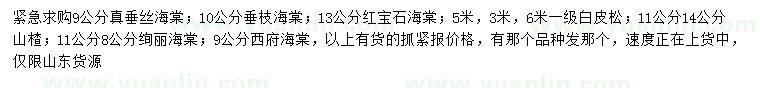 求購垂絲海棠、垂枝海棠、紅寶石海棠等