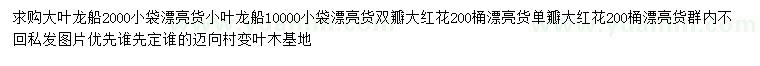 求購大葉龍船、小葉龍船、雙瓣大紅花等