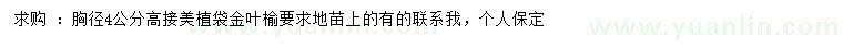 求購胸徑4公分高接金葉榆