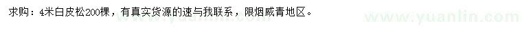 求購4米白皮松
