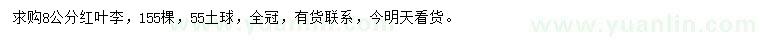求購8公分紅葉李