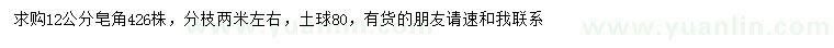 求購12公分皂角