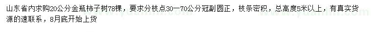 求購20公分金瓶柿子樹