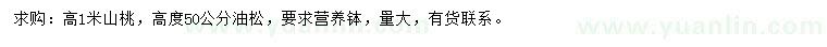 求購高1米山桃、高50公分油松