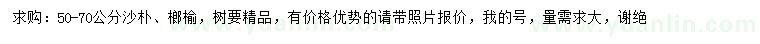求購50-70公分沙樸、榔榆
