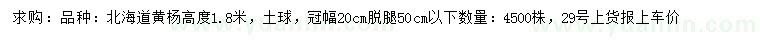 求購高1.8米北海道黃楊