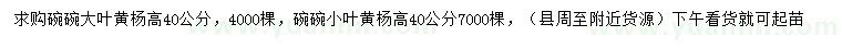 求購(gòu)高40公分大葉黃楊、高30公分小葉黃楊