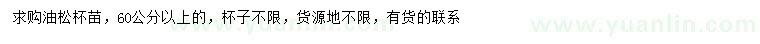求購(gòu)60公分以上油松