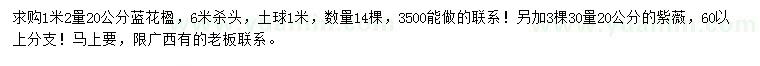 求購1.2米量20公分藍(lán)花楹、30量20公分紫薇