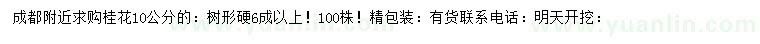 求購(gòu)10公分桂花