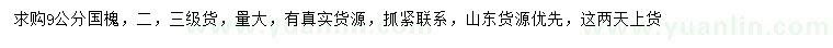 求購9公分國槐
