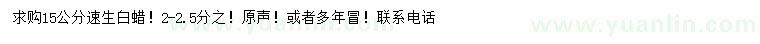 求購15公分速生白蠟