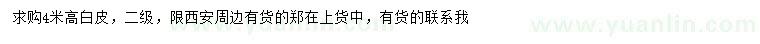 求購(gòu)高4米白皮松