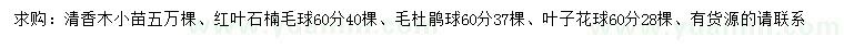 求購(gòu)清香木、紅葉石楠、毛杜鵑等