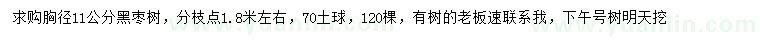 求購胸徑11公分黑棗樹