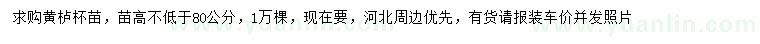 求購高不低于80公分黃櫨
