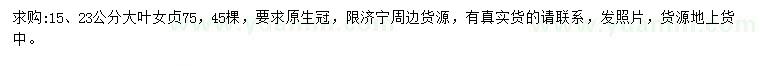 求購15、23公分大葉女貞