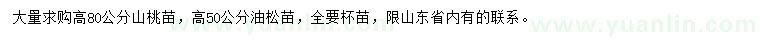 求購高80公分山桃、高50公分油松